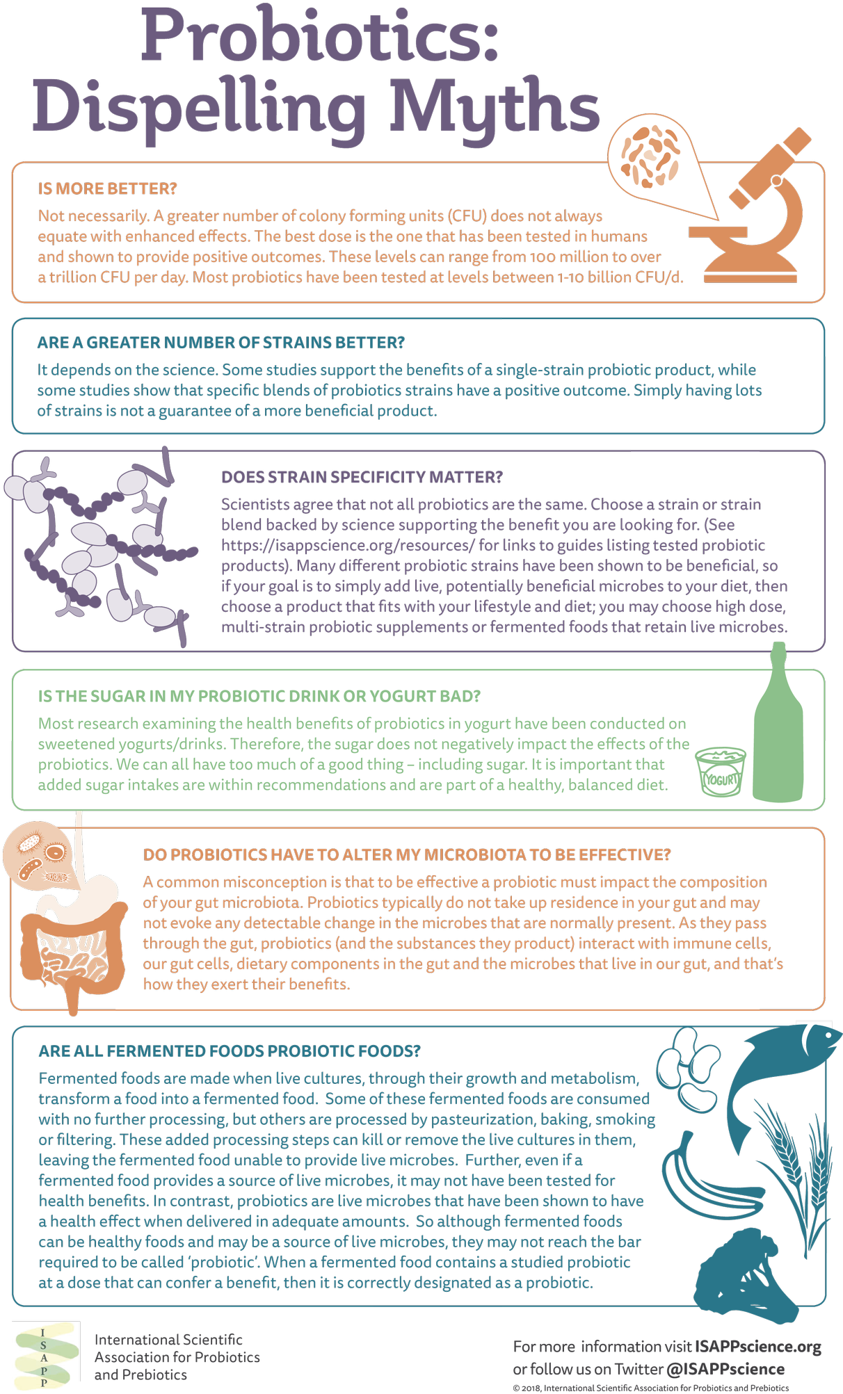 Gutmicrobiota Health On Twitter - Health (1231x2048), Png Download