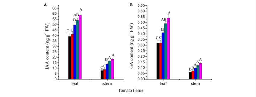 Effects Of Red Light Night Break (nb) On Phytohormone - Diagram (850x323), Png Download