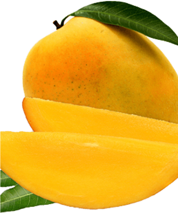 Mango (600x760), Png Download
