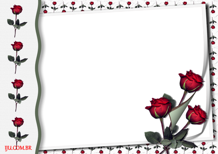 Download Rose Frames Clipart Picture Frames Photography - Rose Frames (900x637), Png Download
