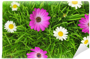 Green Grass And White, Pink Flowers Background Wall - Green (400x400), Png Download