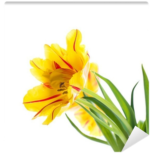 Red Tulips With Green Grass - Green (400x400), Png Download
