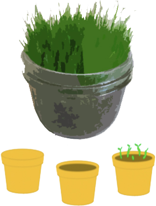 Backgrounds 1423861730 Grass Activity - Flowerpot (337x450), Png Download