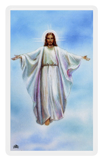 Glorious Jesus - Jesus (600x600), Png Download