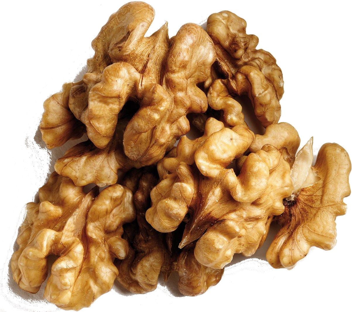 Items Admashamran Walnut - Akhrot Giri (1211x1075), Png Download