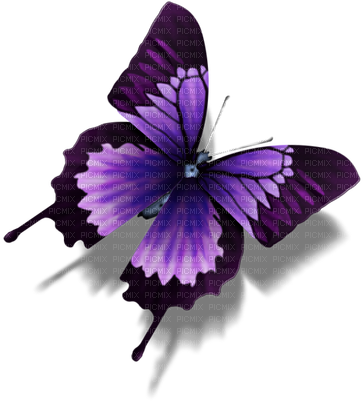 Butterflies - Butterfly Ico (400x400), Png Download