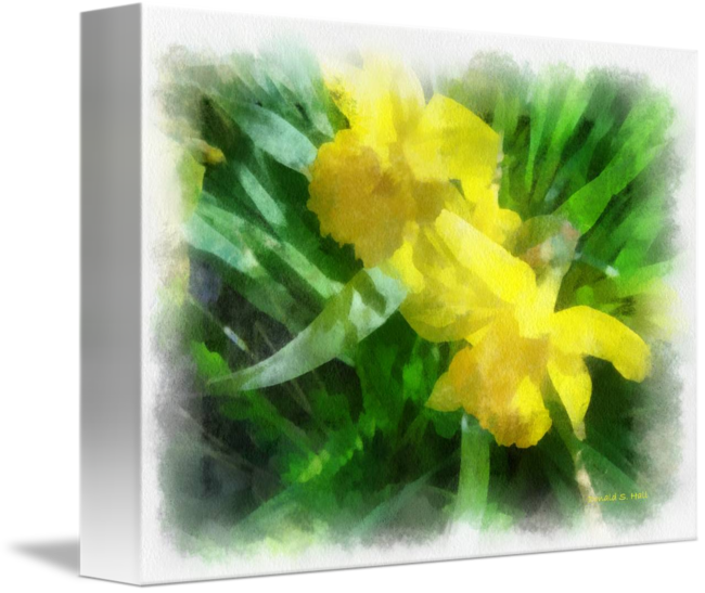 Bring - Cowslip (650x547), Png Download