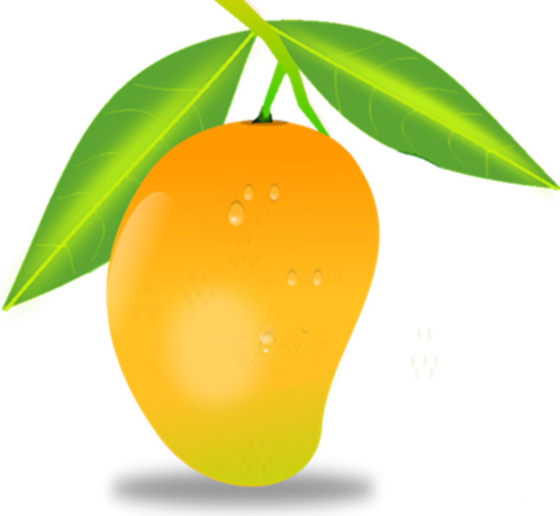 19 Mango Png Free Library Cool Huge Freebie Download - Mango Png (800x736), Png Download