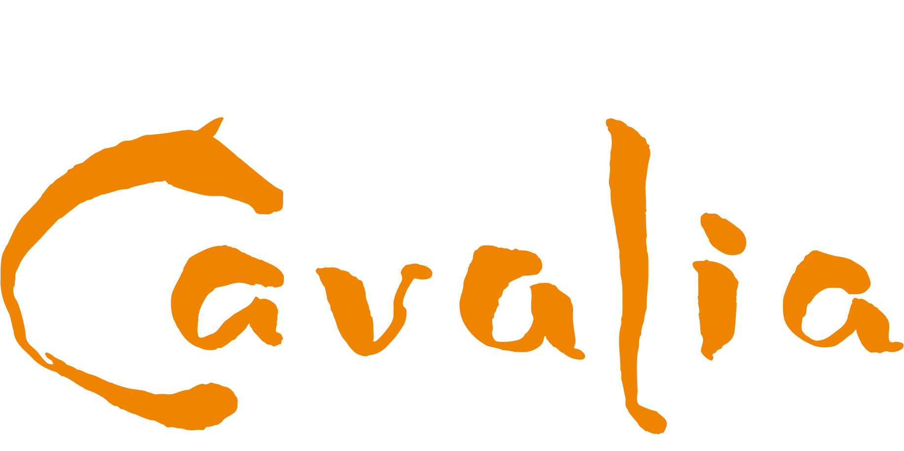 Receive An 15%* Discount - Cavalia Odysseo Nashville Tn (1920x1250), Png Download