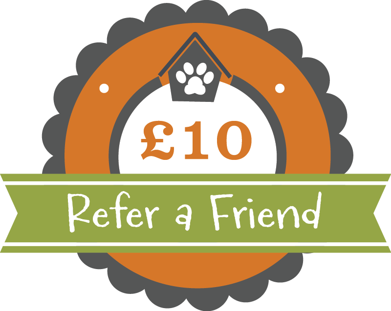 Refer A Friend Offer - Code (800x638), Png Download