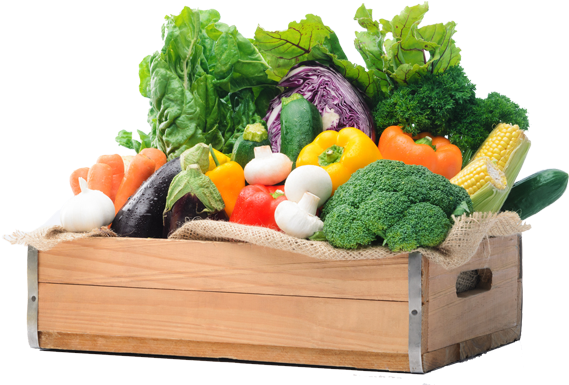 Vegetables Organic (600x600), Png Download