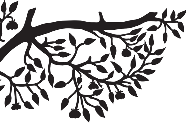 Jj Grey And Mofro Ol Glory (600x397), Png Download