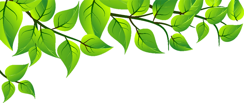 Sun Enviro Offers Complete Solution For Treating Effluent - Leaf (800x339), Png Download