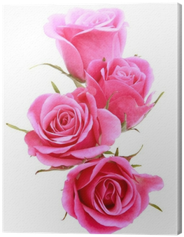 Pink Rose Flower Bouquet Isolated On White Background - Flower Bouquet (400x400), Png Download