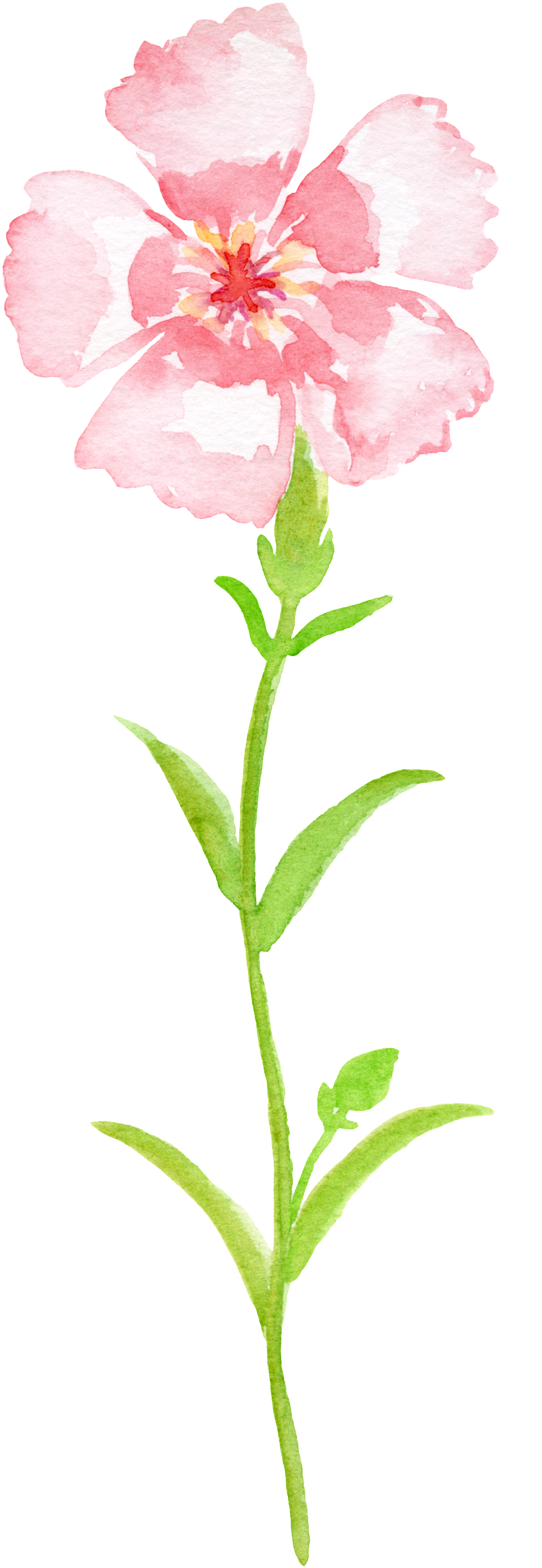 This Graphics Is Pink Gradient Bouquet Transparent - Portable Network Graphics (1024x2885), Png Download