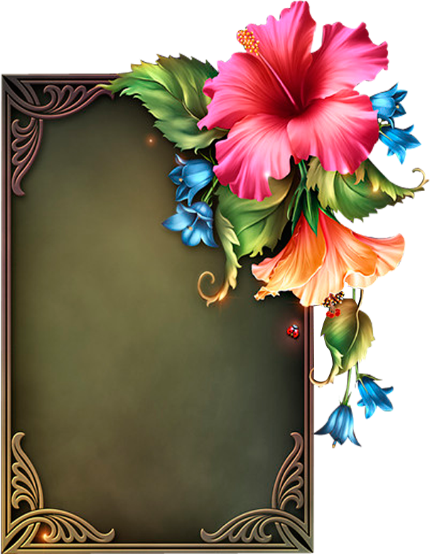 Image Du Blog Zezete Centerblog Net Borders - Transparent Png Moonbeam Frame (605x780), Png Download