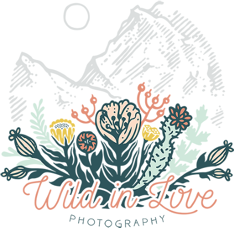 Illustration (480x480), Png Download