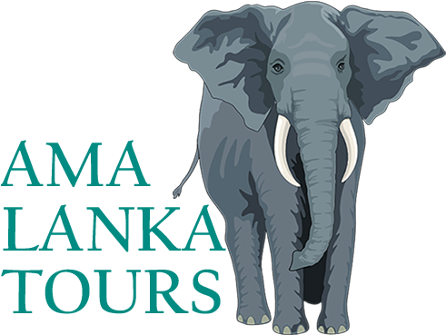 Ramayana Tour - Elephant And The Peg (500x500), Png Download