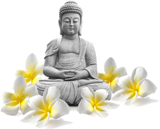 Buddharupa (590x480), Png Download