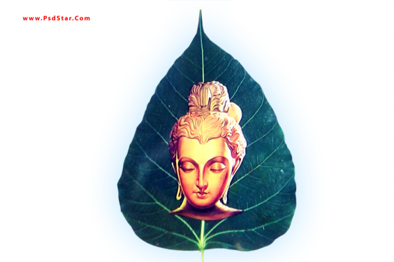 Buddha And Leaf Hd - Buddhism (564x376), Png Download