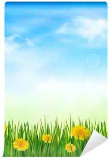 Nature Background With Green Grass And Flowers And - Display Device (400x400), Png Download