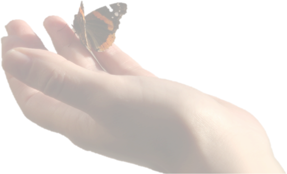 Mayan Astrology, Trips For The Soul, Inca Shamanism - Hand Butterfly Png (989x593), Png Download