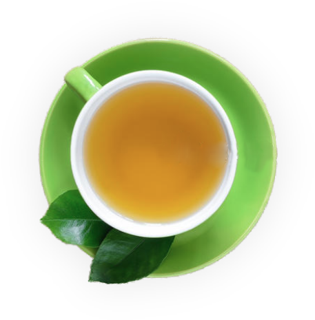Green Tea Antioxidant - Mantra (528x542), Png Download