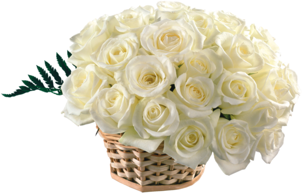 Best Free Hd Wallpapers For Desktop, Latest Wallpapers - Basket Of White Roses (600x392), Png Download
