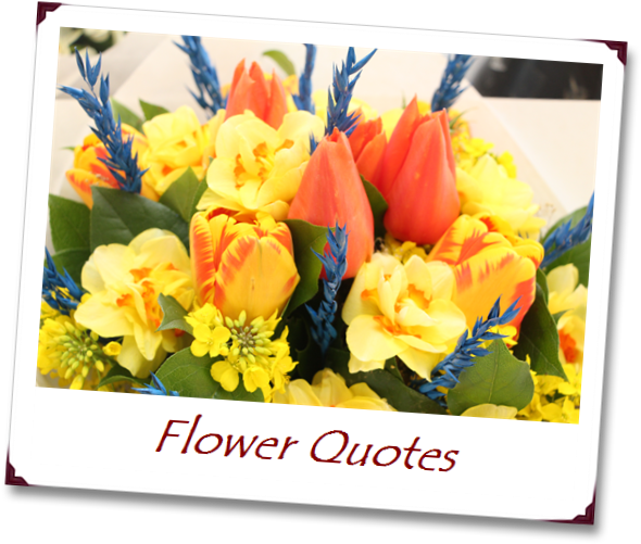 A Beautiful Bouquet Cannot Blossom Without Sunshine - Flower (613x524), Png Download