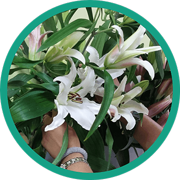 Flower At Home Page - Flower (350x350), Png Download