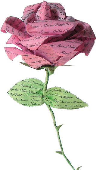 Welcome To Wise Women Now (325x579), Png Download