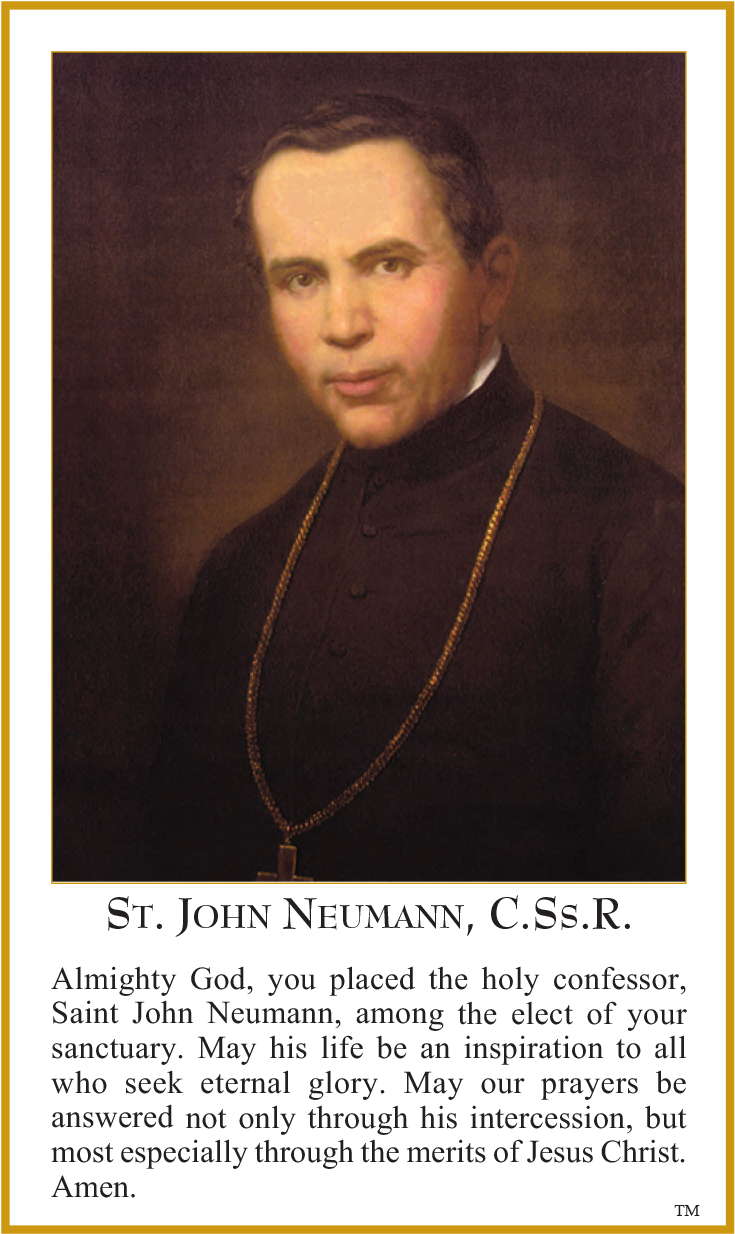We Invite You To Express An Interest In Bringing The - St John Neumann (777x1263), Png Download