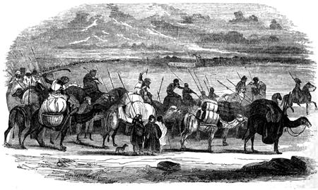 Please See Our Disclaimer Page Prior To Purchase - Mare (450x270), Png Download
