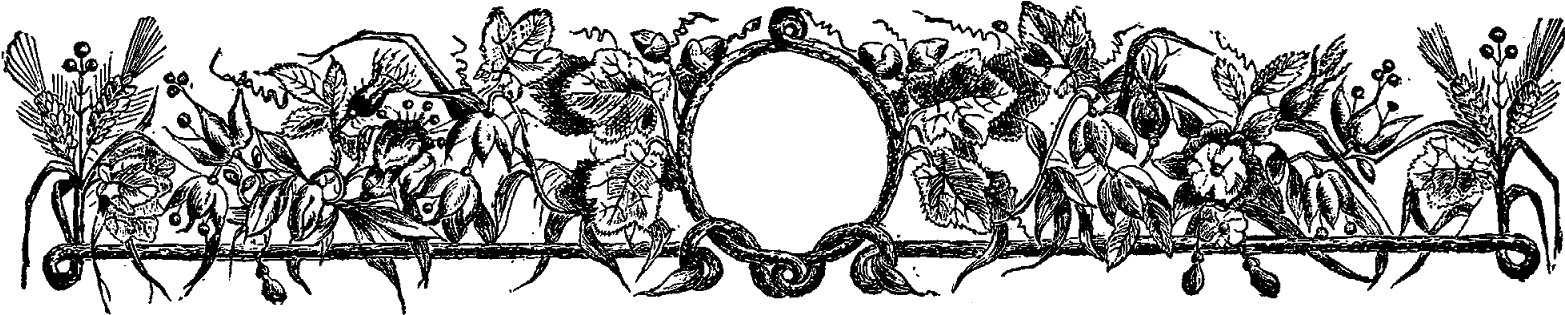 Decorative Border Designs - Bride (1600x358), Png Download