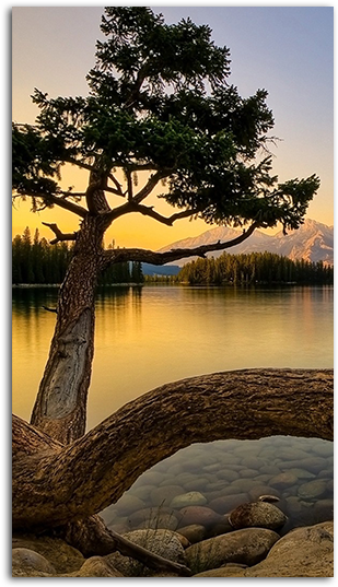 Natural Beauty Mobile Wallpaper - Jasper (485x550), Png Download
