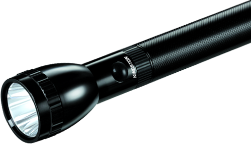 Light On The Future - Torch Light Made In Japan (505x291), Png Download