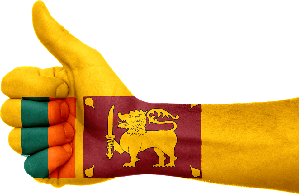 1 - - Sri Lanka Flag Images Free Download (960x627), Png Download