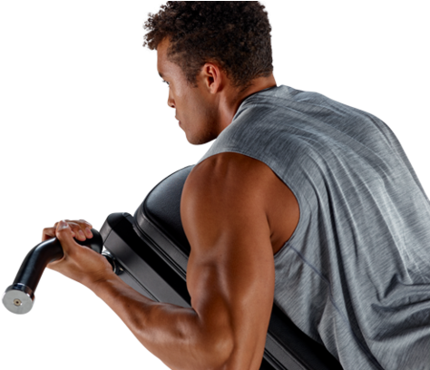 Physical Therapy, Home Fitness - Biceps Curl (480x407), Png Download