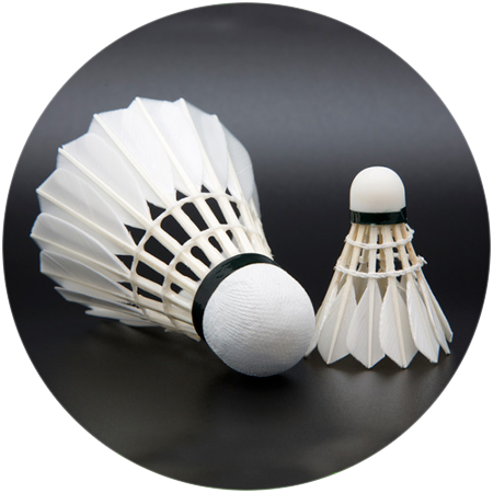 Badminton (450x450), Png Download