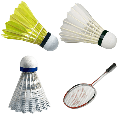 Badminton - Badminton Feather (400x400), Png Download