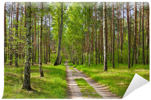 Wall Mural • Pixers® • We Live To Change - Wallpaper (400x400), Png Download