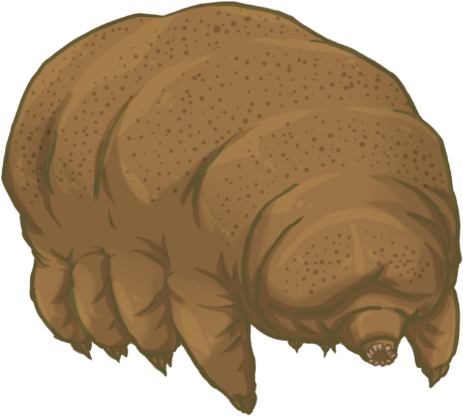 Animals Defy Nature Illinois Science Council Blog - Tardigrade Png (1024x768), Png Download
