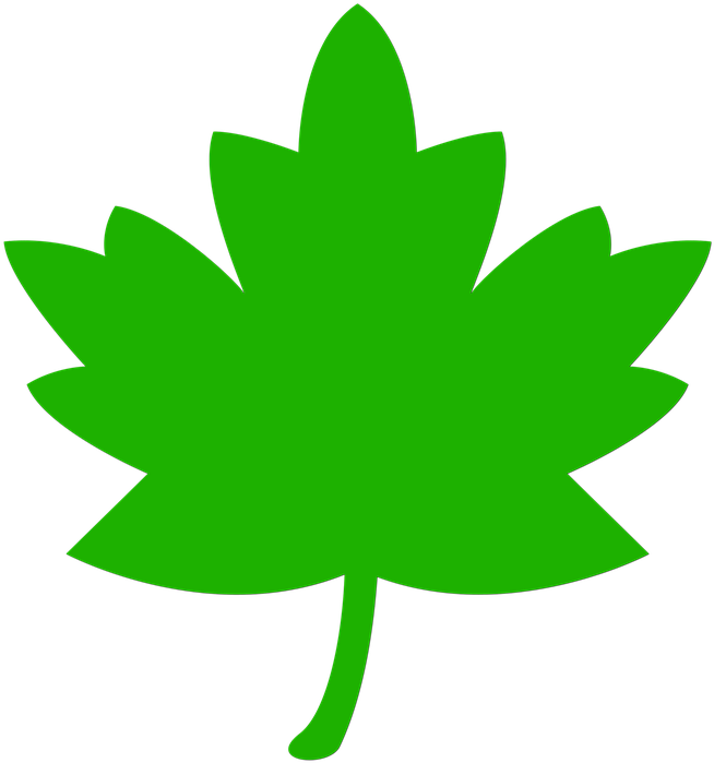 Icon Leaf Green Tree Nature Leaves - Green Paint Splatter Clip Art (720x720), Png Download