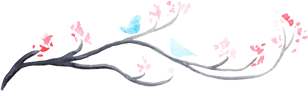 Transparent Ornamental For Watercolor Birds And Flowers - Flower (1024x320), Png Download