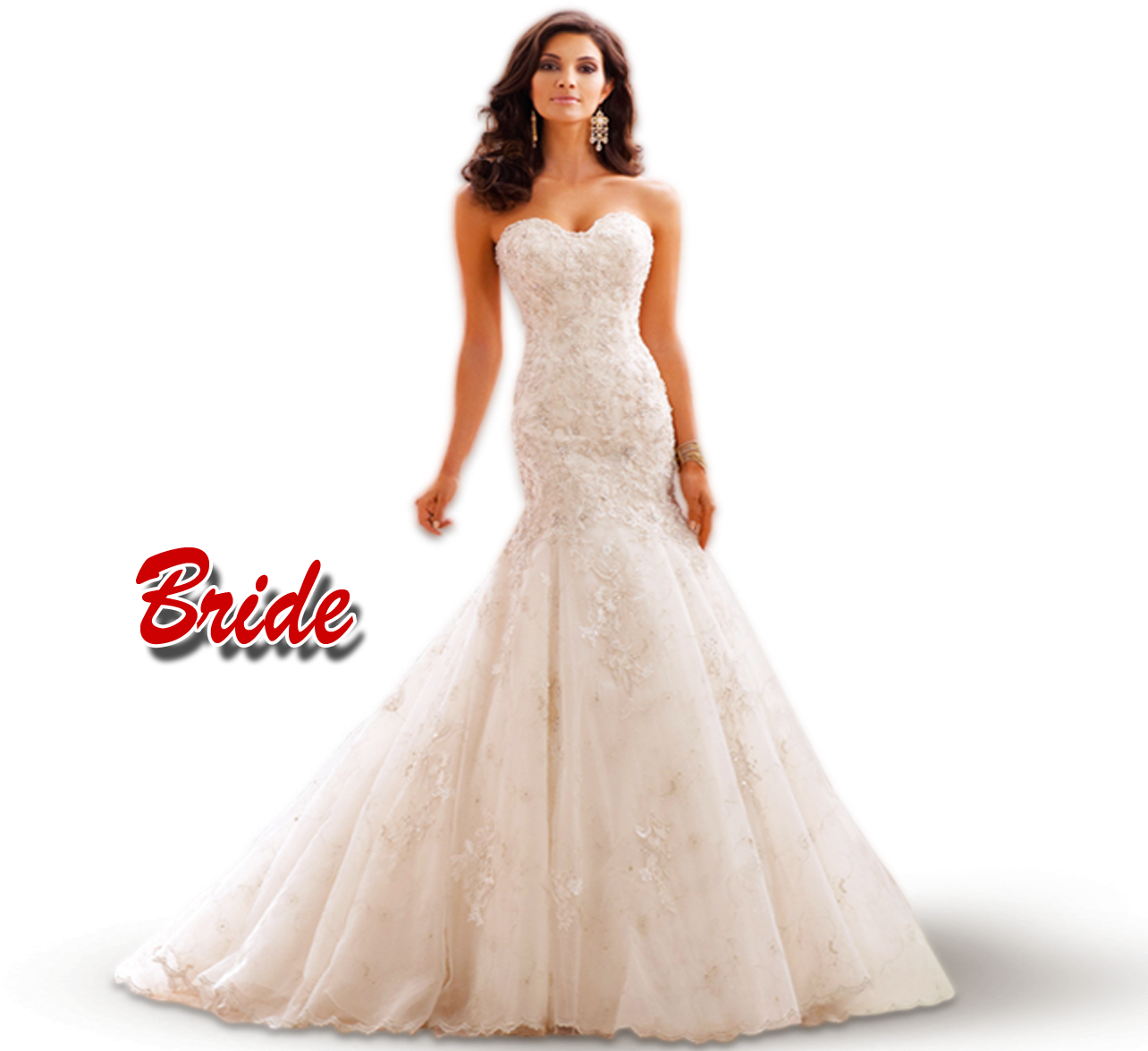 Bride Transparent Png (1291x1190), Png Download