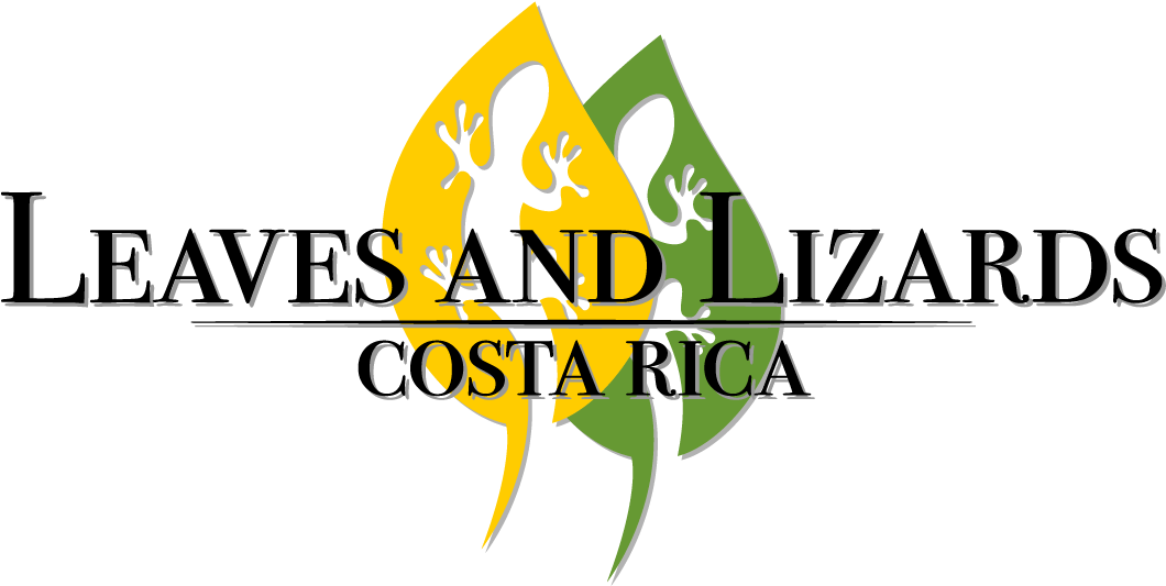 Leaves And Lizards Logo - Leaves And Lizards Arenal Volcano Cabin Retreat (1080x540), Png Download