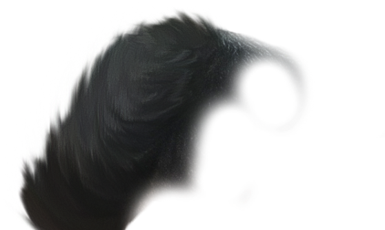 Hair Png - Hair (640x350), Png Download
