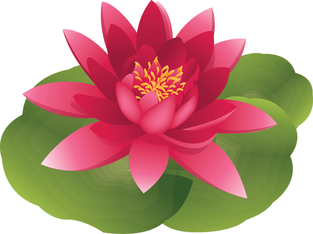 Lotus Water Lily Flower Clipart - Clip Art Water Lily (640x478), Png Download