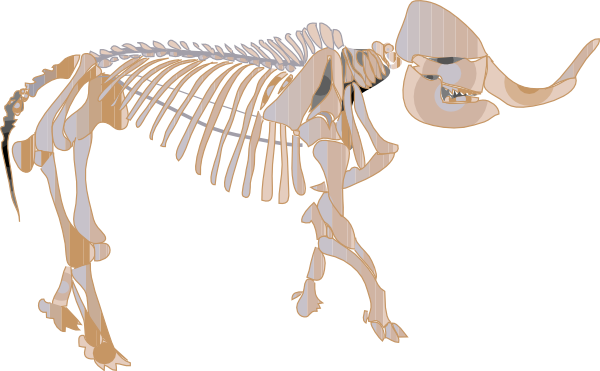 Clip Arts Related To - Fossil Clip Art (600x371), Png Download