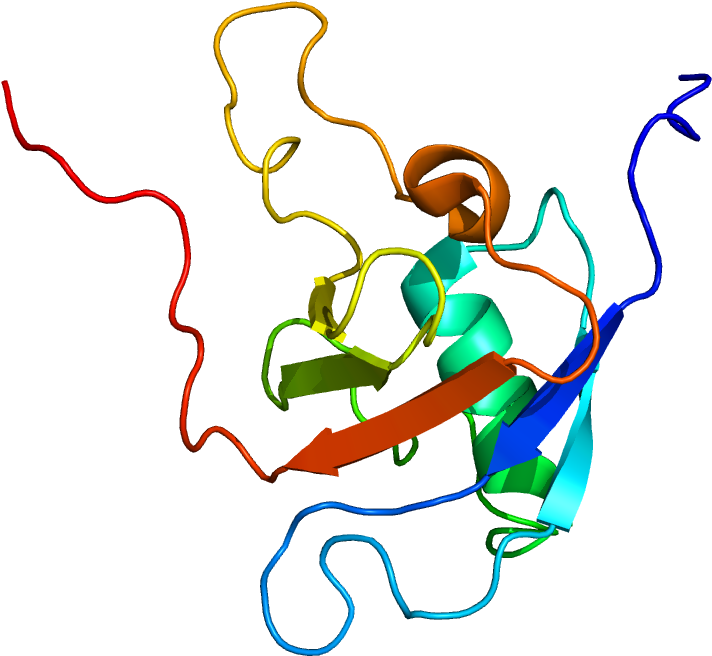 Protein Plxnb1 Pdb 2jph - Illustration (1200x1000), Png Download